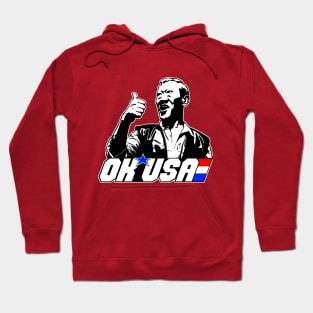 OK, USA! Hoodie